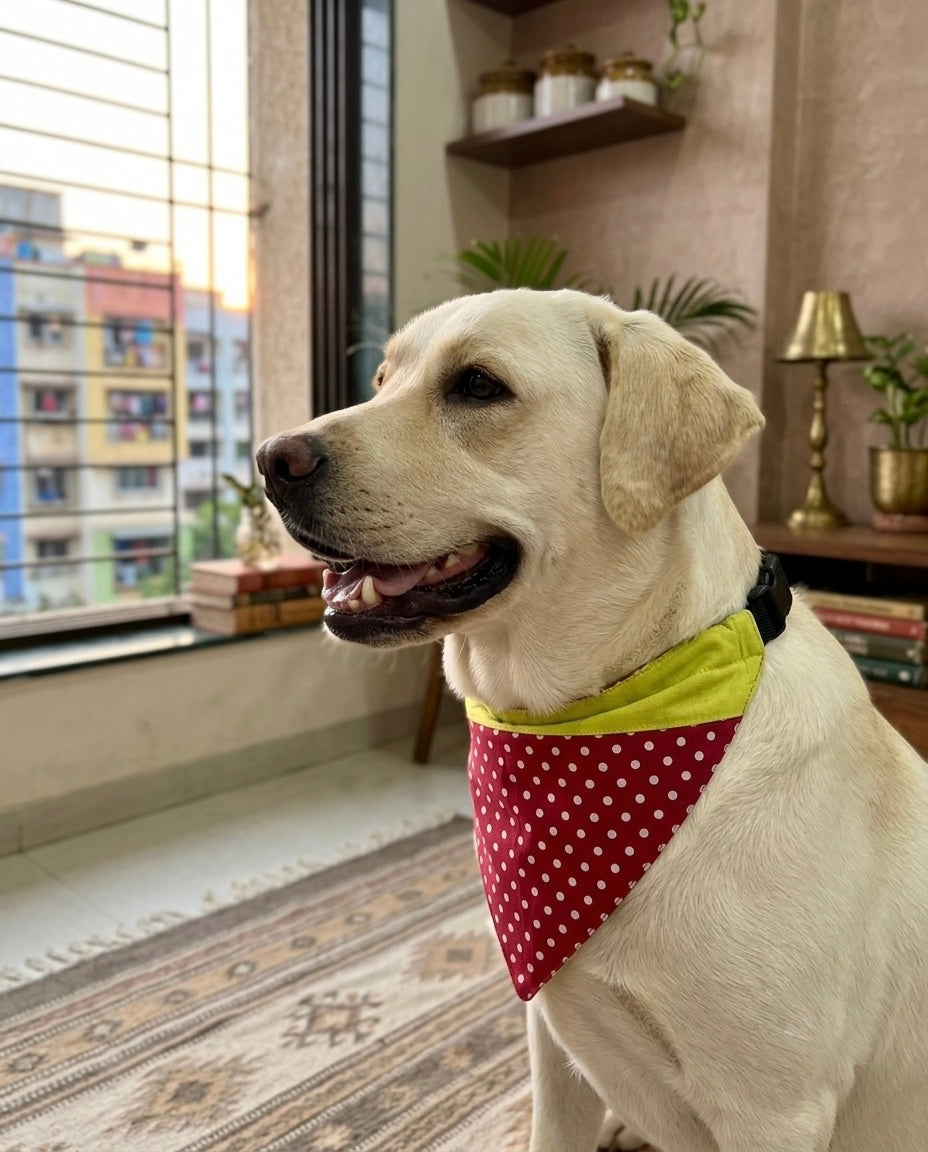 Pet Accessories Yellow & Pink Polka Dot Adjustable Dog Bandana