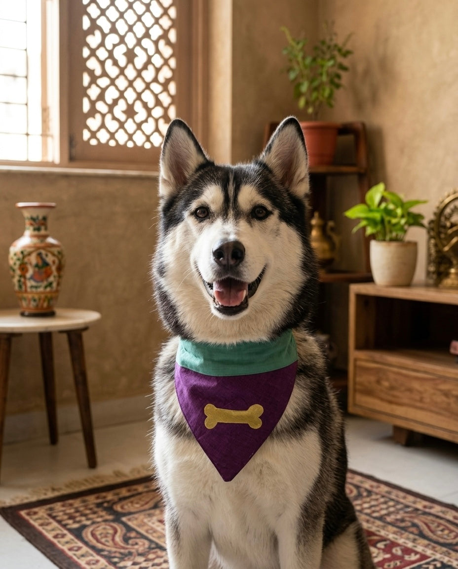 Pet Accessories Purple & Teal Bone Print Adjustable Dog Bandana