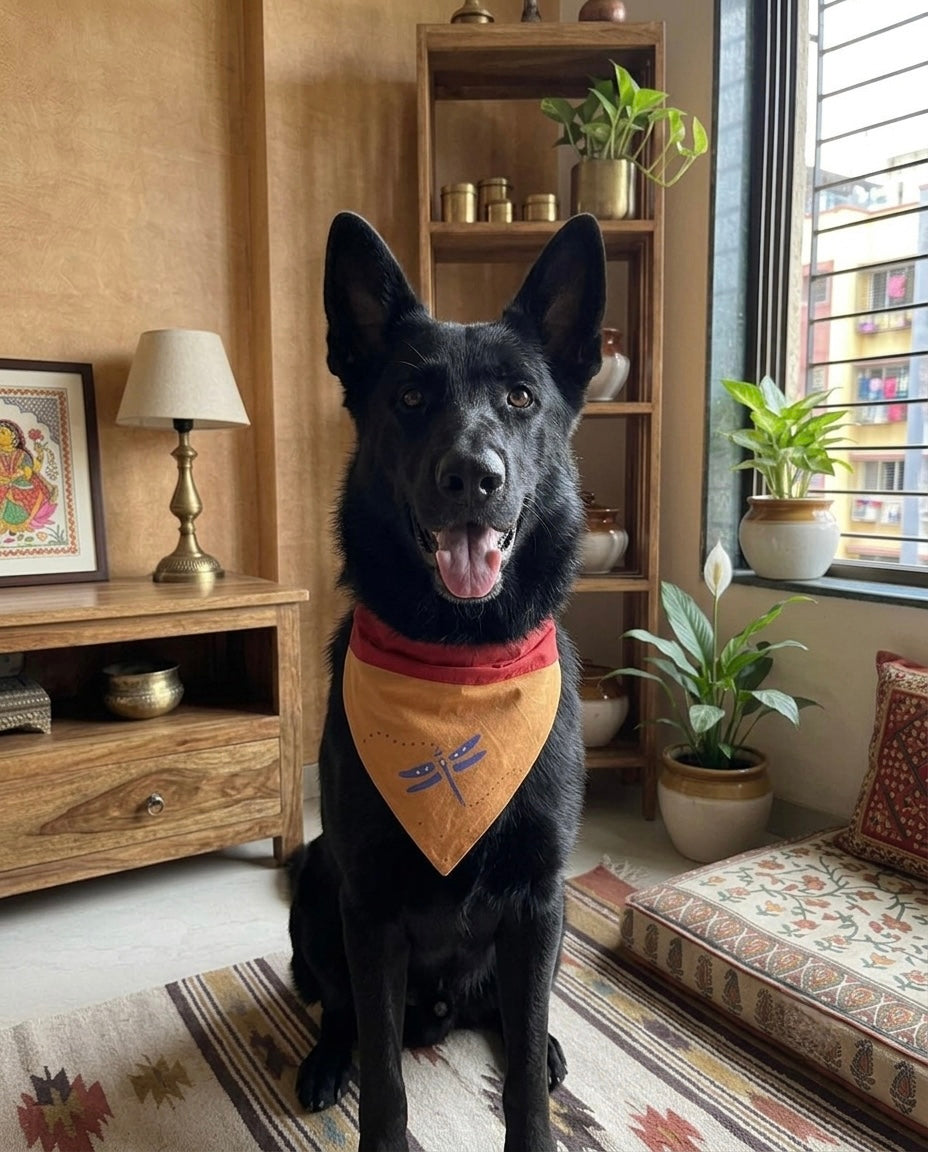 Pet Accessories Orange & Red Dragonfly Print Adjustable Dog Bandana (Copy)